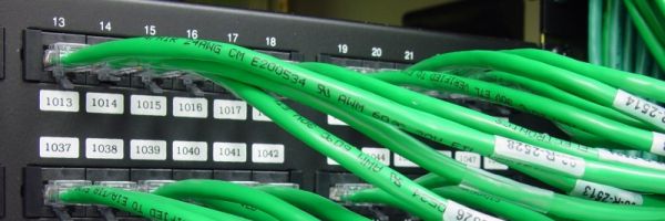 Green network cables plugged into rack